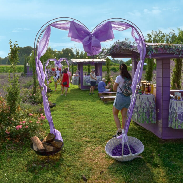 post-evento-lavandeto-2023