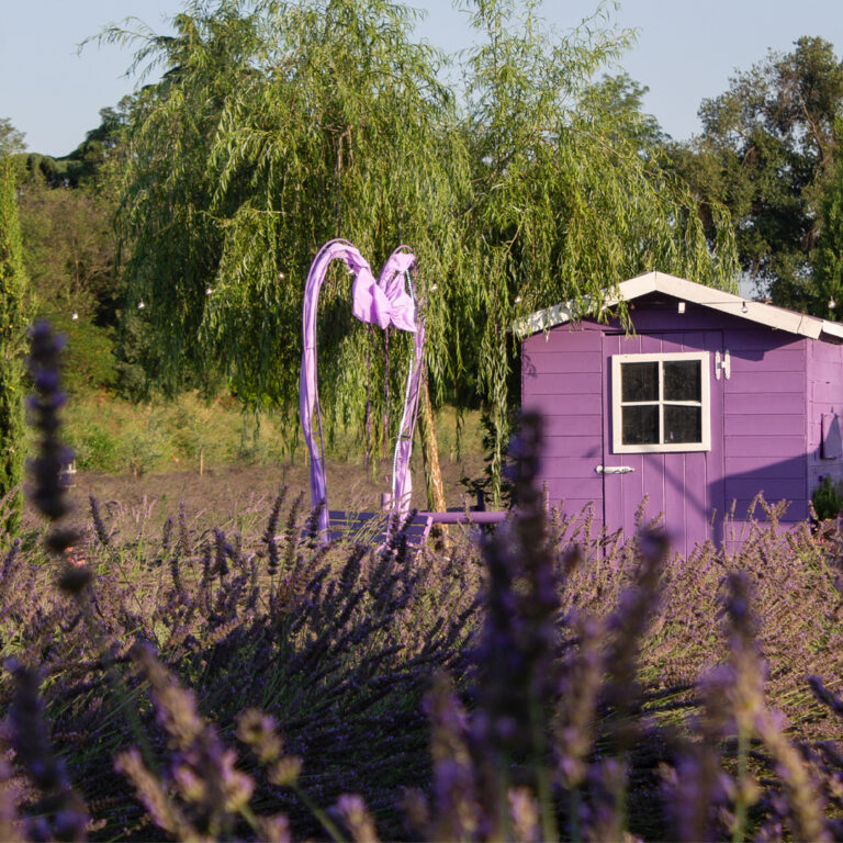 post-lavandeto-casetta